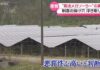 脱法メガソーラー「悪質性高い」国の認証取り消し
